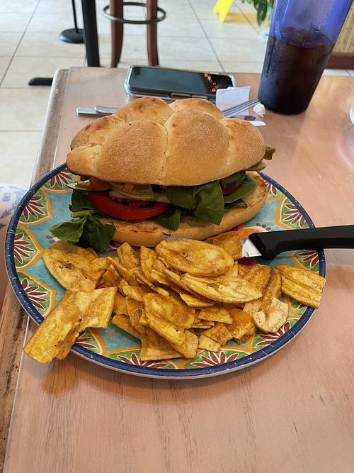 Veggie sandwich with plain twin chips  at Mel's Tiki Cafe in Indialantic
