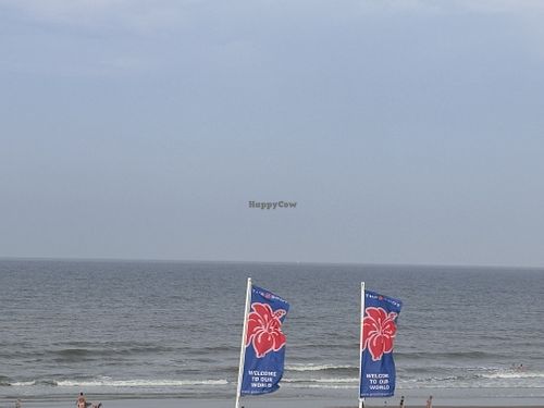 Mooie plek  at The Spot Watersport in Zandvoort