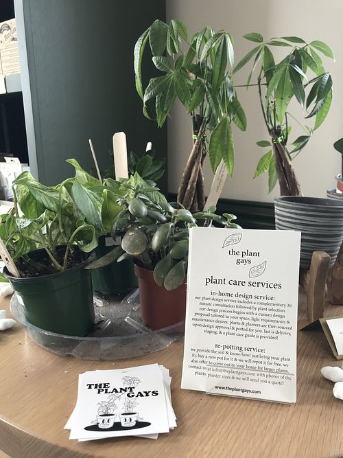 plants for sale   at Morning Ritual in Columbus