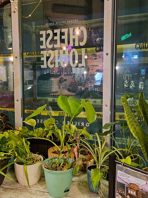 Plants for sale at Cheese Louise in Portland