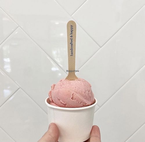 Black Pepper Plum sorbet (June) at Ampersand Ice Cream - Northwest Scoop Shop in Fresno