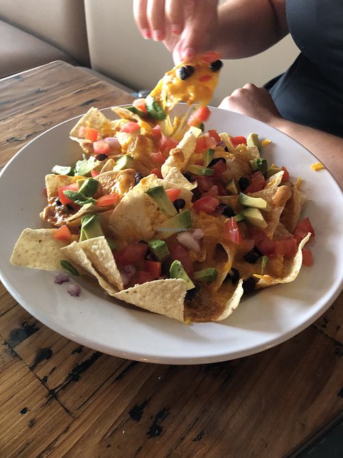 Nachos Del sol - subbed in vegan cheese!  at Cafe del Soul in New Smyrna Beach