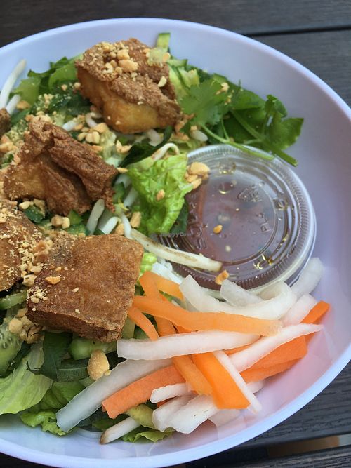 Mixed noodles with tofu  at Mamma Hai in Syracuse