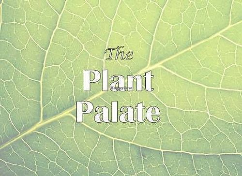 The Plant Palate at The Plant Palate in Poughkeepsie