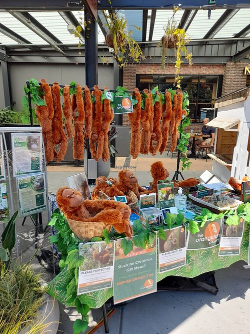 Save the orang-utans at North Brisbane Vegan Markets in Brisbane