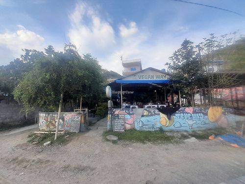  at Vegan Way in Pokhara