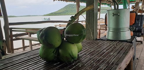 Fresh coconuts at MR.BOY CAFÉ in Koh Siboya