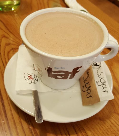 hot chocolate with almond milk at Avocado in Athens