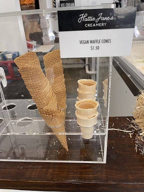 yummy vegan cone! at Hattie Jane's Creamery in Franklin