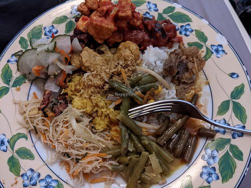 Vegan rijsttafel at BioToko in Arnhem