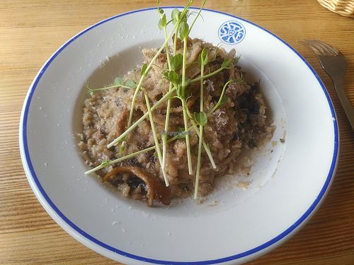 Mushroom Risotto with vegan Parmesan cheese at STF Kvikkjokk Fjällstation in Kvikkjokk