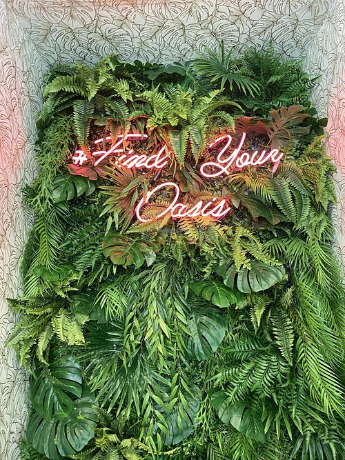 #findyouroasis  at Guacamaya Oasis Plant Based Mexican Cuisine in Downey