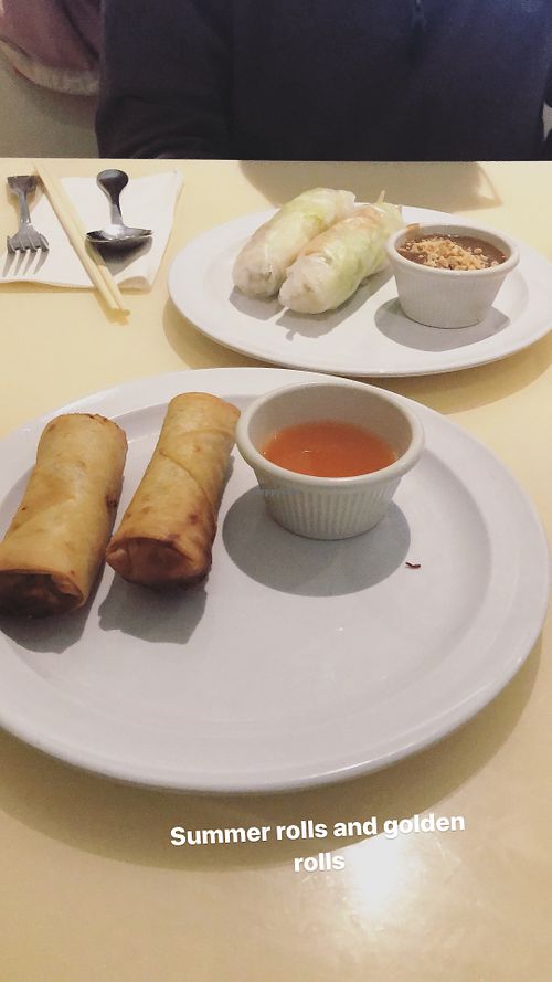 Summer rolls and golden rolls at Loving Hut in Falls Church