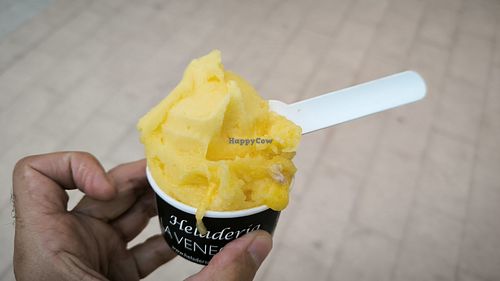 Sorbete de mandarina 🍊 at Heladería La Veneciana in Barakaldo