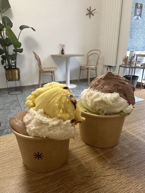 Our ice creams  at Imaginarni Zmrzlina in Prague