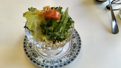 Mini salad without dressing (allium free) that comes with main course at Sunny Bowl in Seoul