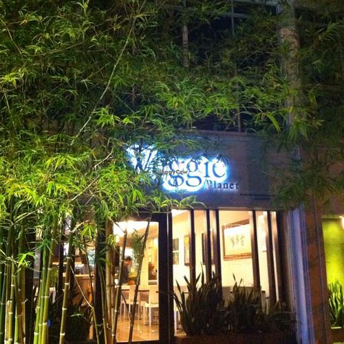 Shop front obscured by bamboo trees!  at Veggie Planet in Malacca