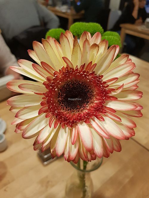 Fresh flowers on the tables  at 15 süße Minuten Café - Bistro in Vienna