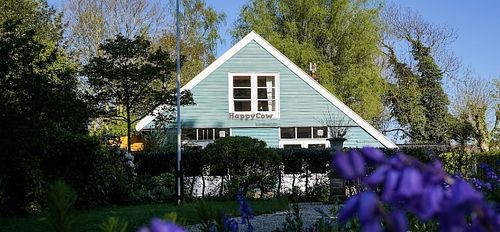 Bar blauw, nested in a herb garden at Blauw in Weesp