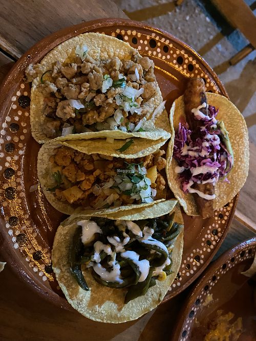 Incredible vegan Tacos selection   at La Vegan Taqueria in Tulum