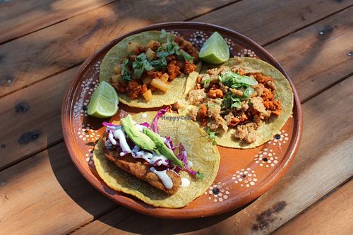 Faux fish tacos   at La Vegan Taqueria in Tulum