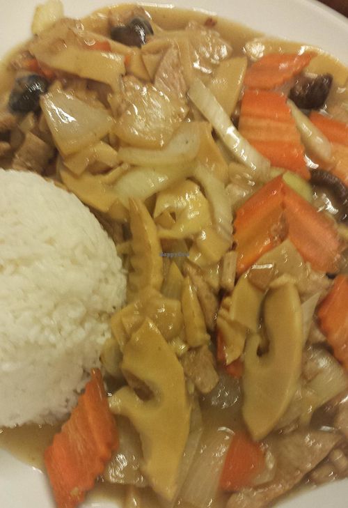 Bamboo and faux meat dish at Vegan City - Husitska in Prague