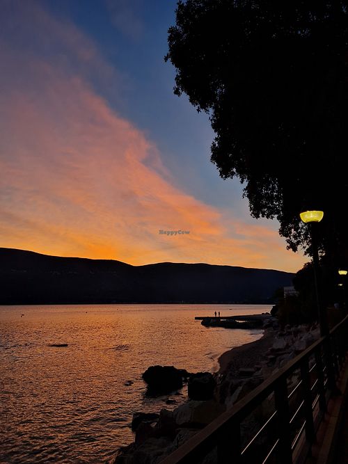 View at Do-Do Café in Herceg Novi