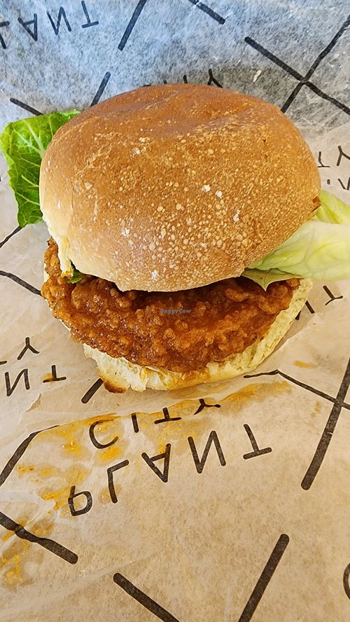 Chicken sandwich at Plant City X in Warwick