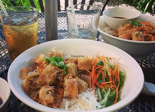 vermicelli bowl with springrolls in the garden! at Vivi's Vietnamese Noodle House in Hillsboro