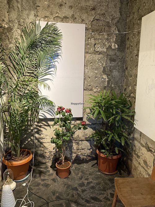 Entry  at Greenr Cafe in Mumbai