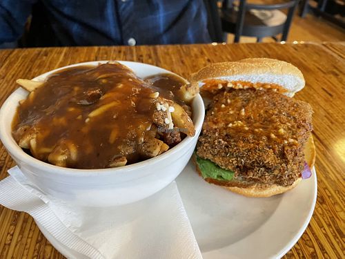   at The Owlery in Bloomington