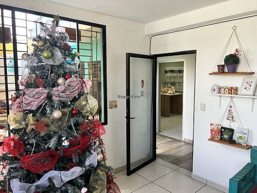  #Veganuary at El Veggie SV Escalón in San Salvador