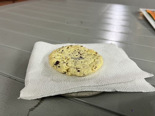   at Casa Xoxoctic in San Salvador