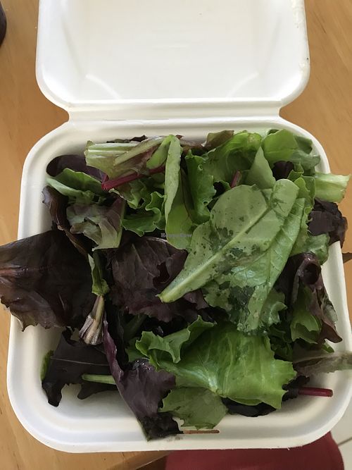  Lemon Dressed Organic Mixed Greens (doesn’t look like anything but leaves, but honestly, the dressing is 🔥🔥 at First Watch in Cypress