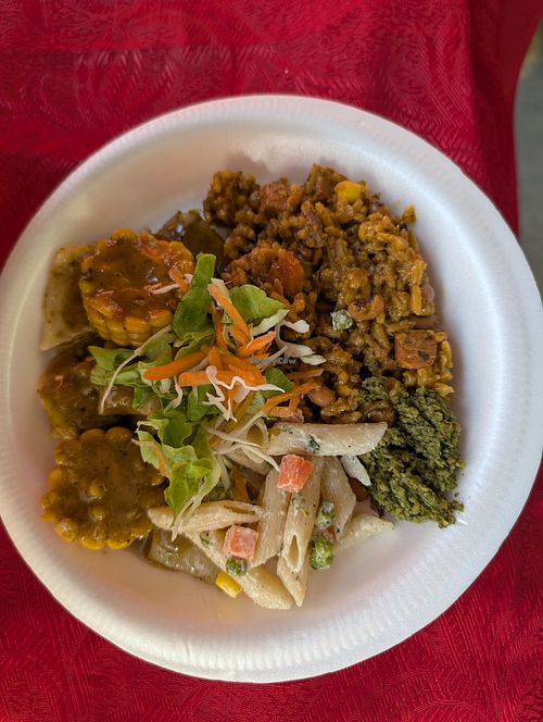 Meal of the day at Kam's Veggi Delight in Felicity