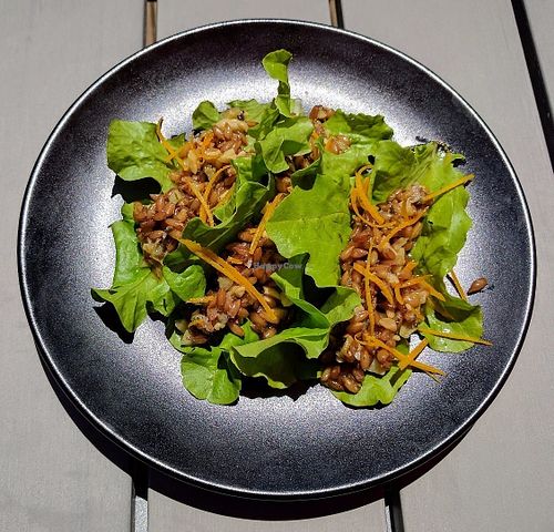 Three Lil Lettuce Wraps. Vegan and very good! at Ollie in Ypsilanti