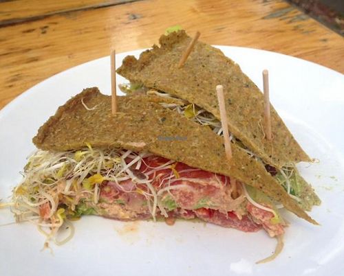 my club sandwich  at Alchemist Garden in Amsterdam