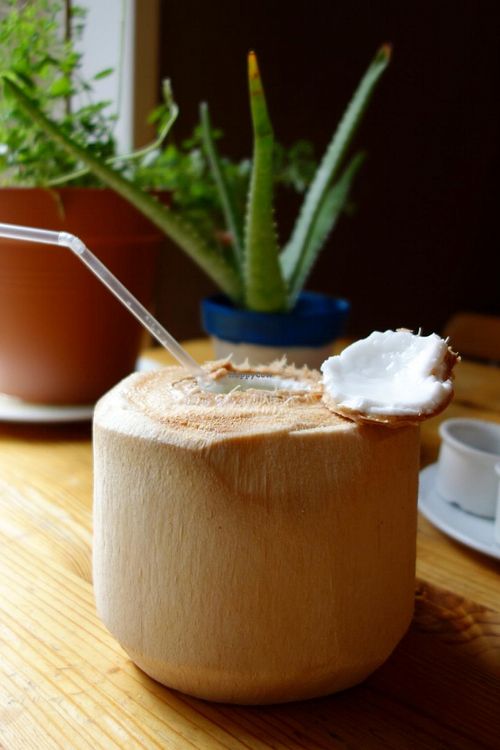 Fresh coconut juice! at Alchemist Garden in Amsterdam