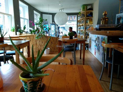 interior at Alchemist Garden in Amsterdam