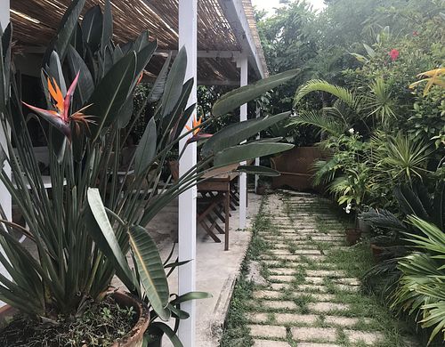 Gorgeous plants in a tranquil setting with a little reggae music in the background. Great vibe! at Earthful Cafe in Kitanakagusuku
