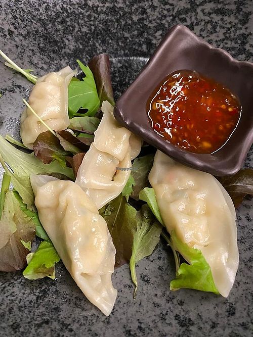 Vegan gyoza 🥟 at Banshi in Pordenone