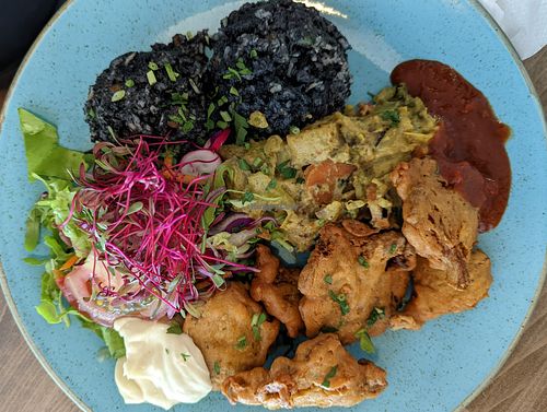 Oyster Mushroom Meal at Upcafe in Split