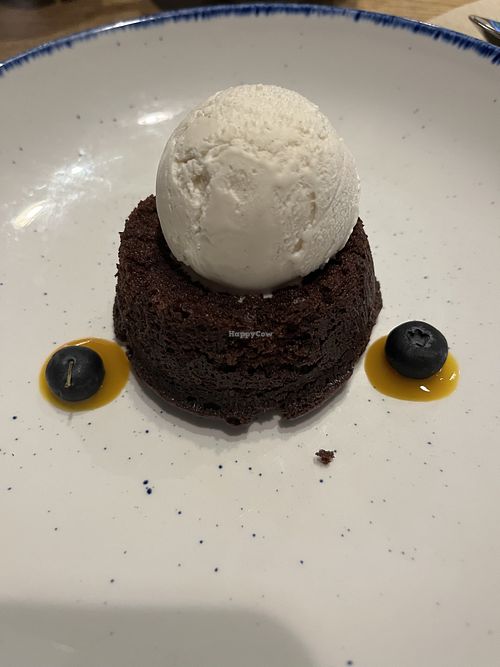   at The Last Zebra in Carlisle