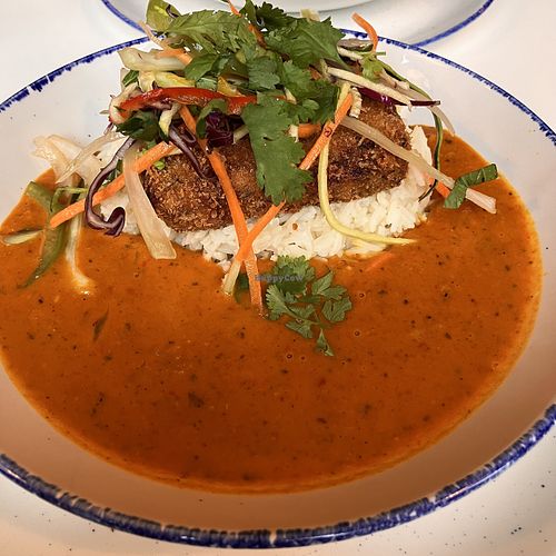 Tofu 🍛 curry  at The Last Zebra in Carlisle