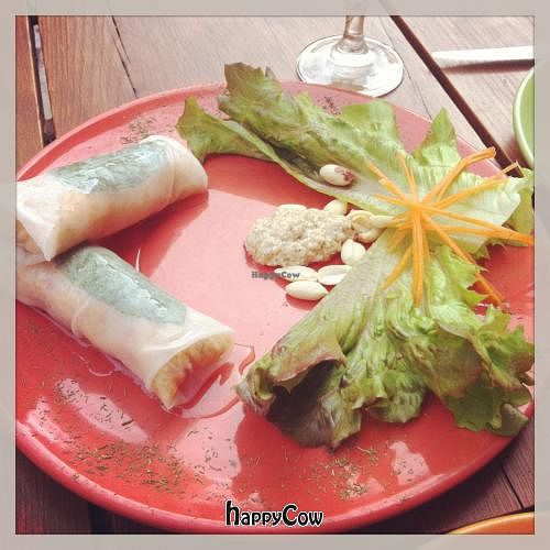 Delicious quinoa spring rolls at Paprika in Granada