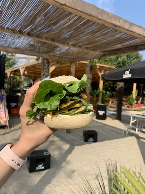 Vege Burger  at Parkowa in Krakow