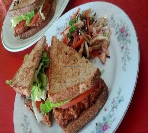 Buffalo Tofu Sandwich with carrot-ginger slaw. at Sweet Pea Cafe in Tallahassee