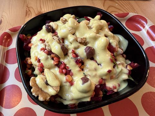 salad (lentils) vegan  at Picknick in Coburg