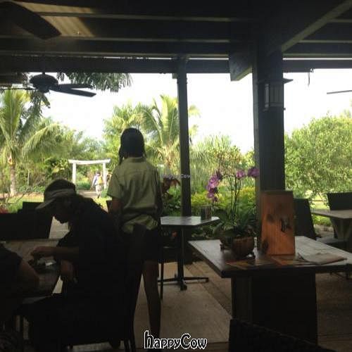 View from table.  at The Garden Cafe - Common Ground in Kilauea