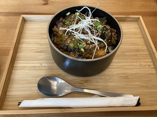 Mabo Nasu Don at Shokudo in Utrecht